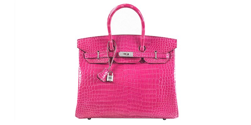 The world's most luxurious handbag! Why is the HERMÈS Himalaya bag so  expensive?